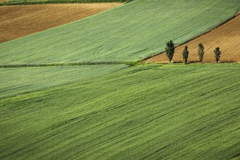 Принадлежавшие Алие Назарбаевой и Кайрату Сатыбалды земли вернули в госсобственность