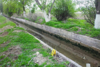 Фотография к новости: Школьника подозревают в убийстве девушки в Туркестанской области