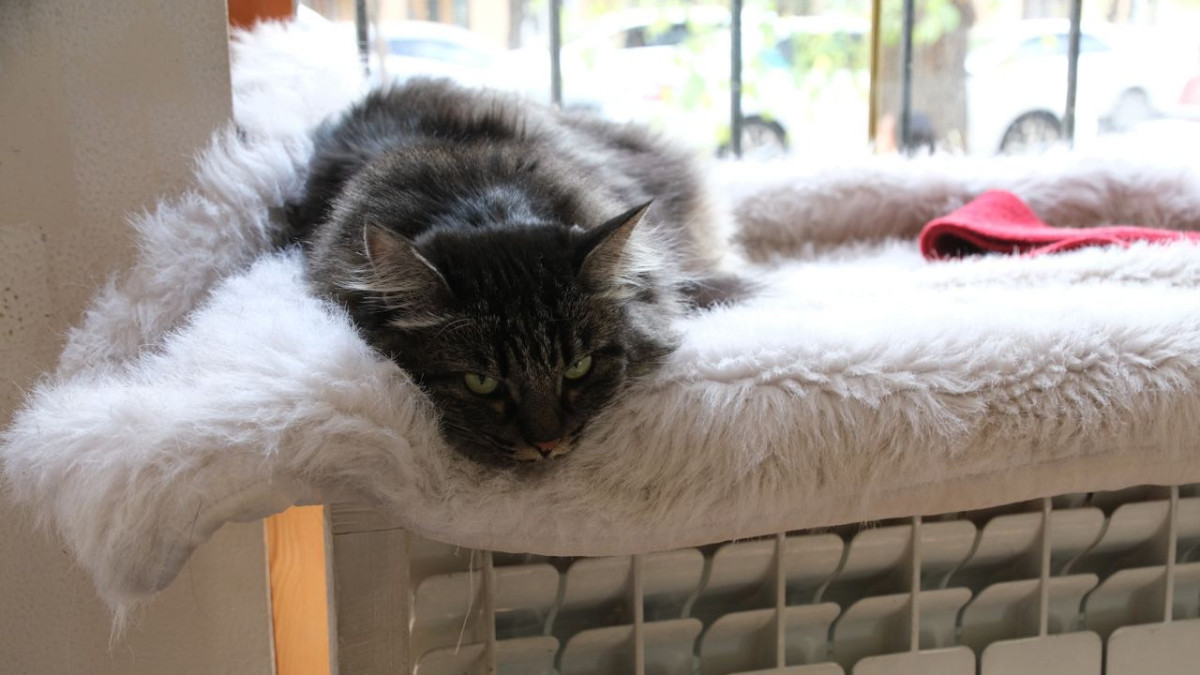 В Алматы назвали дату окончания отопительного сезона