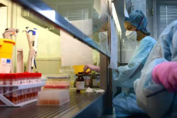 Фотография к новости: Более 40 тысяч человек заразились лихорадкой денге в Аргентине