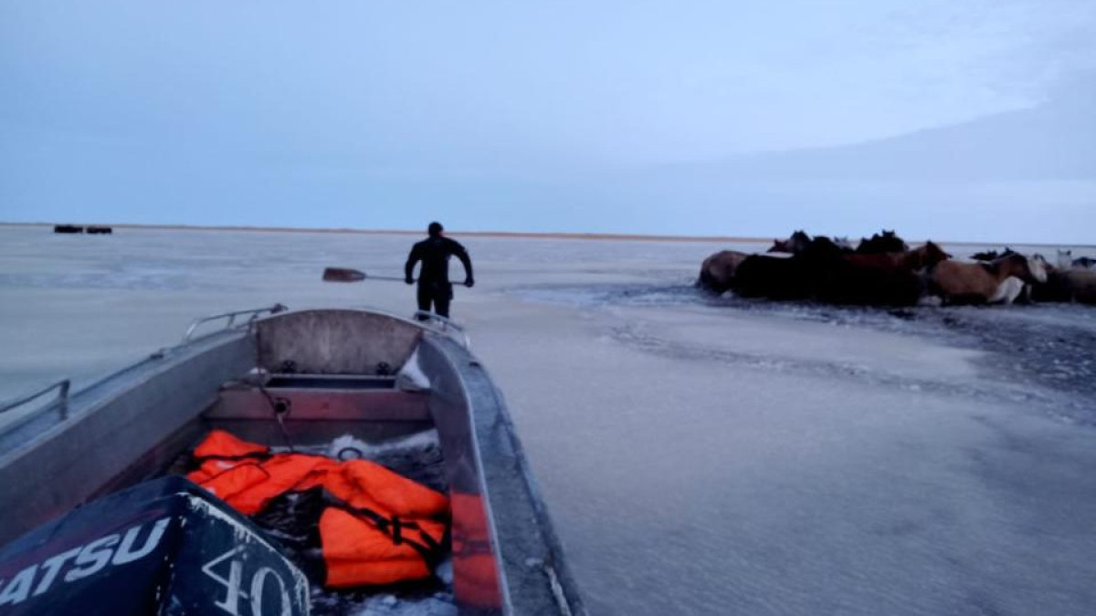 ДЧС Акмолинской области