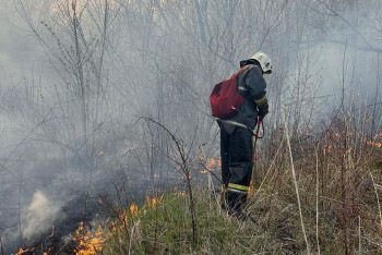 Фотография к новости: Лес горит в Уральске