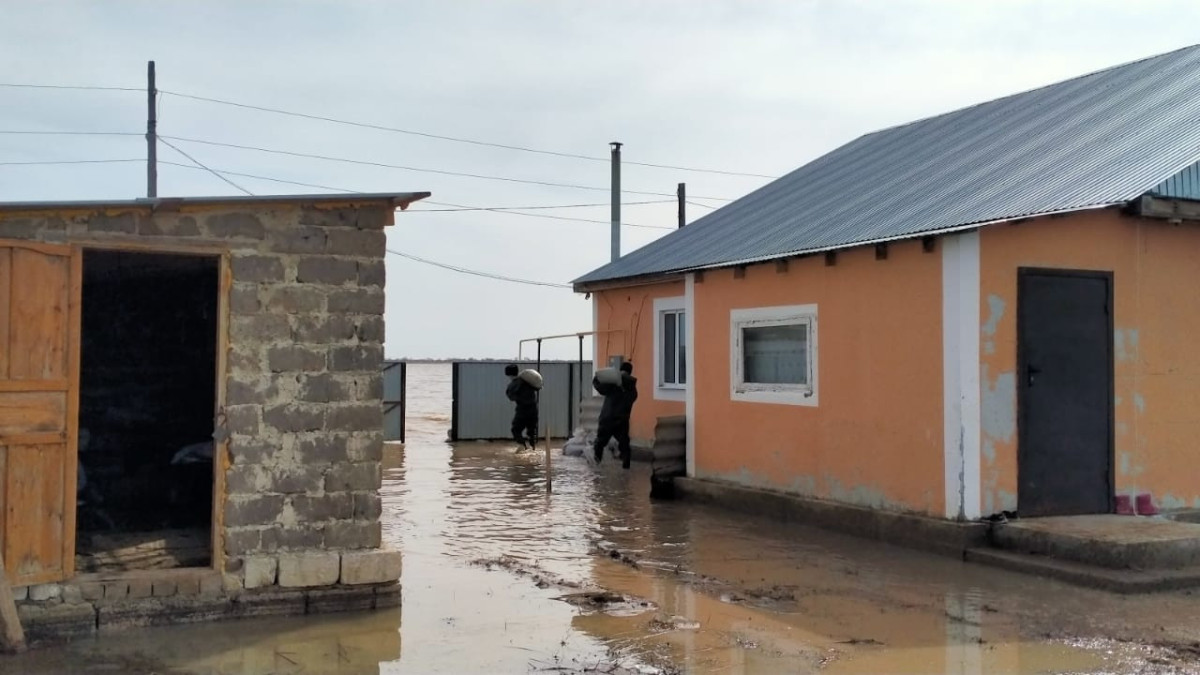 Эльмира Кубегенова