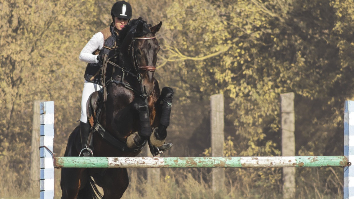 pixabay.com/ иллюстративное фото