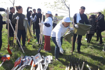 Фотография к новости: Масштабный экологический субботник прошёл в микрорайоне Алматы