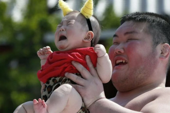 Фотография к новости: Борьбу плачущих младенцев возродили в Японии