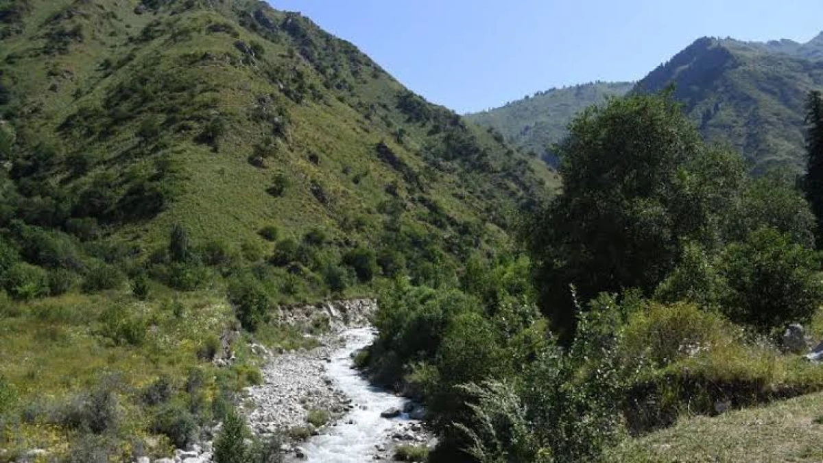 zakon.kz