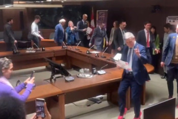 В розовых туфлях пришли в правительство канадские политики, чтобы поддержать жертв бытового насилия