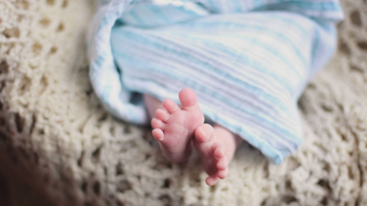 pixabay.com / иллюстративное фото