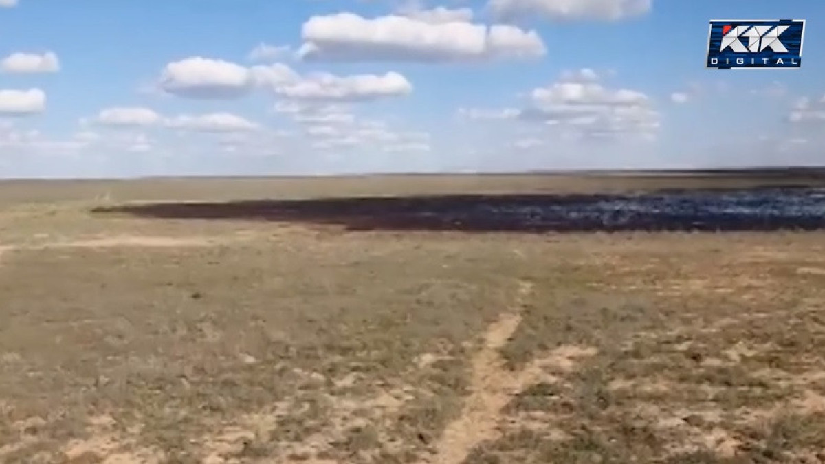 скриншот с видео