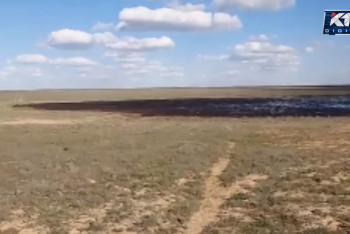 Фотография к новости: Нефть залила пастбища в Атырауской области