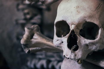 Фотография к новости: В Кокшетау нашли пакет с человеческими останками