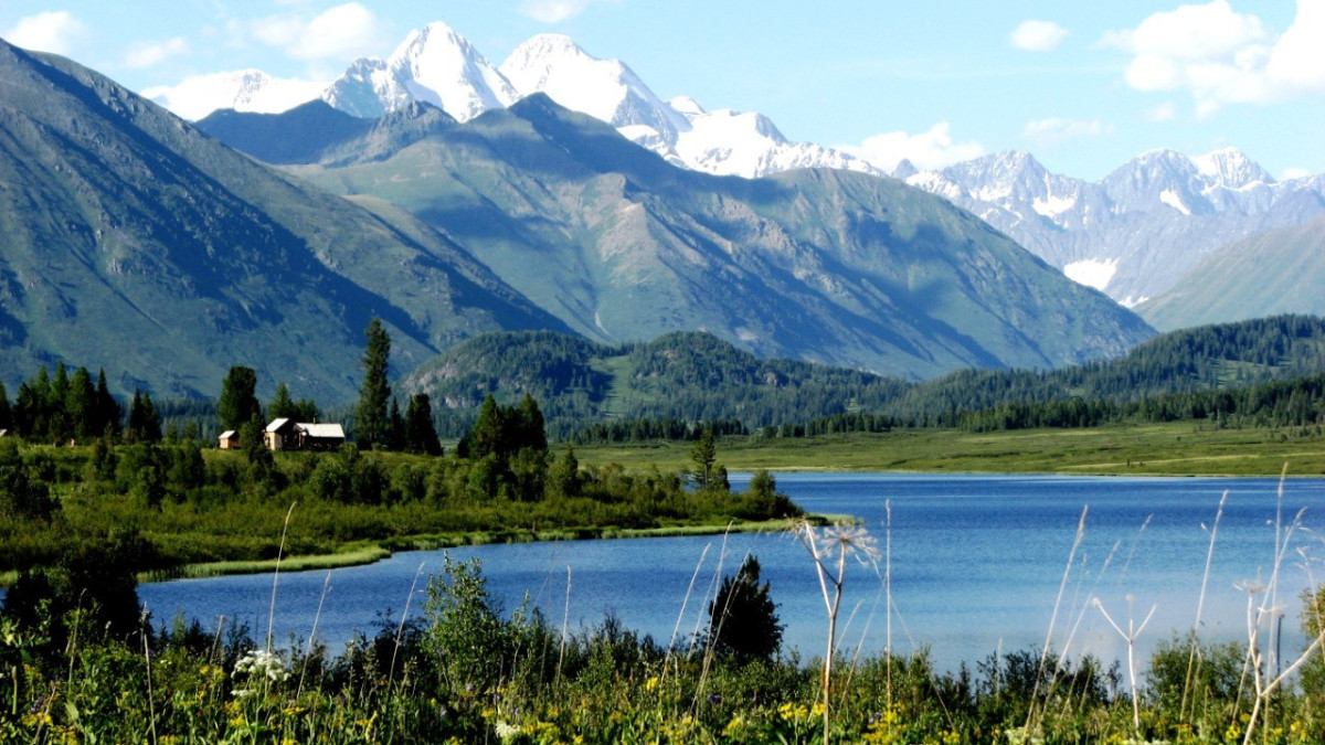 Дмитрий Чернов