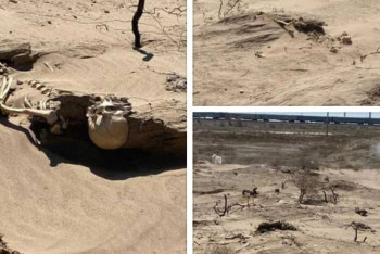 Фотография к новости: Останки человека нашли в Кызылорде