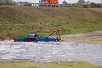 Фотография к новости: Очистить Есиль от гниющих трупов просят фермеры акмолинских сёл