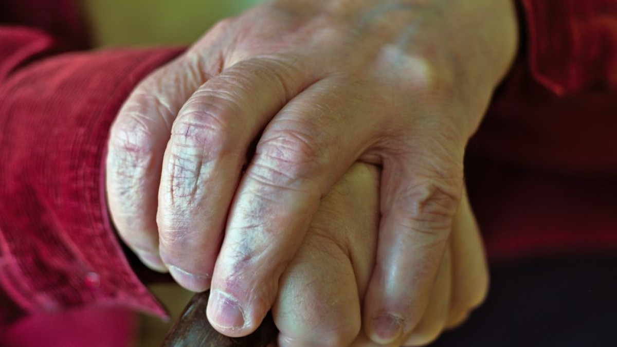 pixabay.com / иллюстративное фото