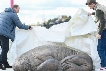 Фотография к новости: В Норвегии установили памятник моржихе