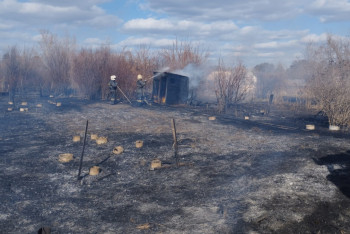 Более ста дач сгорели в Павлодаре