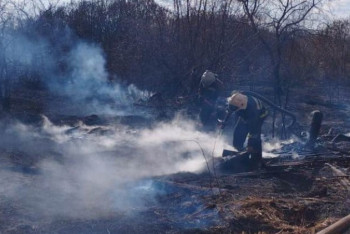 Фотография к новости: Дачного поджигателя ищут в Павлодаре