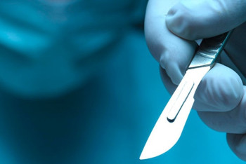 Фотография к новости: Американка украла и продала 20 ящиков с человеческими мозгами, руками и головой