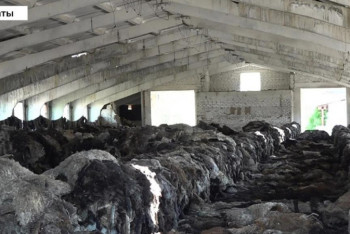 Фотография к новости: В Алматинской области сельчане задыхаются от трупного запаха