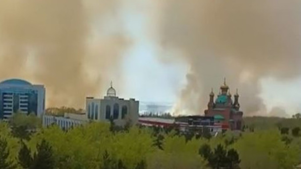 скриншот с видео @ti.pavlo