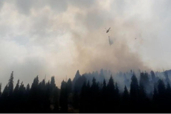 Фотография к новости: Пожар на Медеу удалось локализовать спустя 18 часов