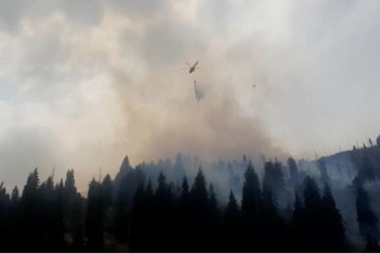 Фотография к новости: Причиной пожара на Медеу стал человеческий фактор