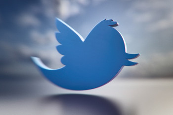 Фотография к новости: Twitter внедрит функцию голосовых и видеовызовов