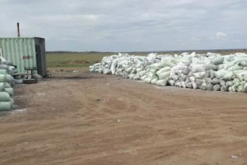 Фотография к новости: Зола на вес золота: ценные отходы тоннами лежат в Павлодарской области