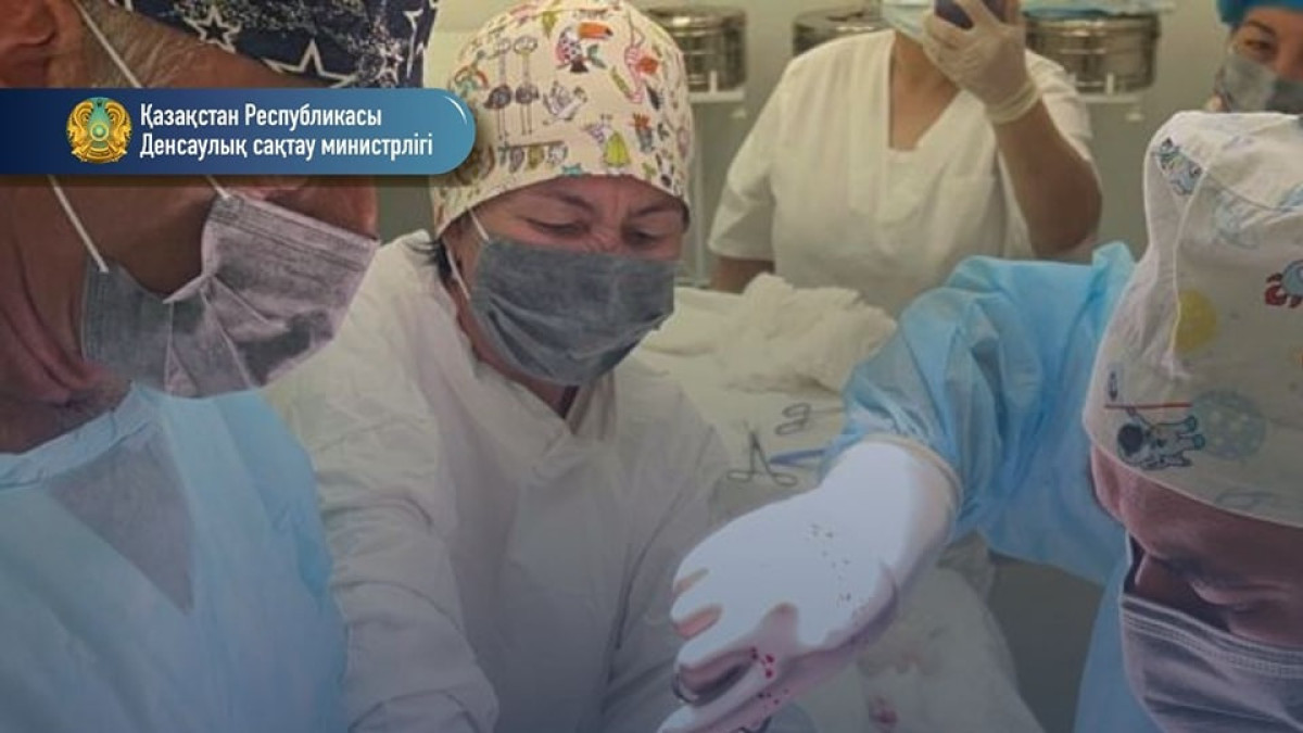 Более килограмма волос достали из желудка 12-летней девочки в Таразе