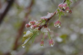 Фотография к новости: Заморозки, снег, град - погода на выходные в Казахстане