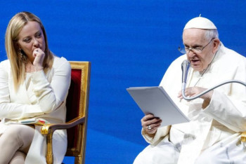 Фотография к новости: Папа римский призвал не заменять детей животными