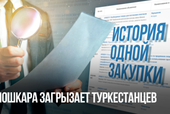 Фотография к новости: История одной закупки: Мошкара загрызает туркестанцев