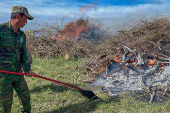 Фотография к новости: Не жечь траву и беречь зайчат призвали в МЧС казахстанцев