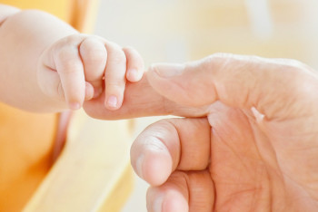 Фотография к новости: Названы регионы с самой высокой рождаемостью в Казахстане