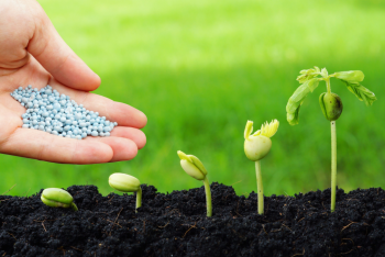 Фотография к новости: Некоторые виды казахстанских удобрений смогут экспортировать только производители