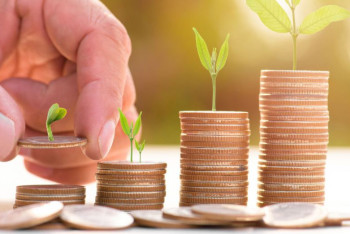 Фотография к новости: Фермеры не могут получить субсидии из-за недоработок ЕГИСС — НПП