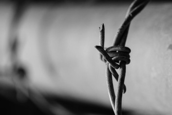 Фотография к новости: В развращении малолетней девочки подозревают соседа в Алматинской области