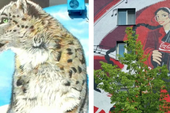 Фотография к новости: Досаев высказался о нашумевшем инциденте с муралом Coca-Cola