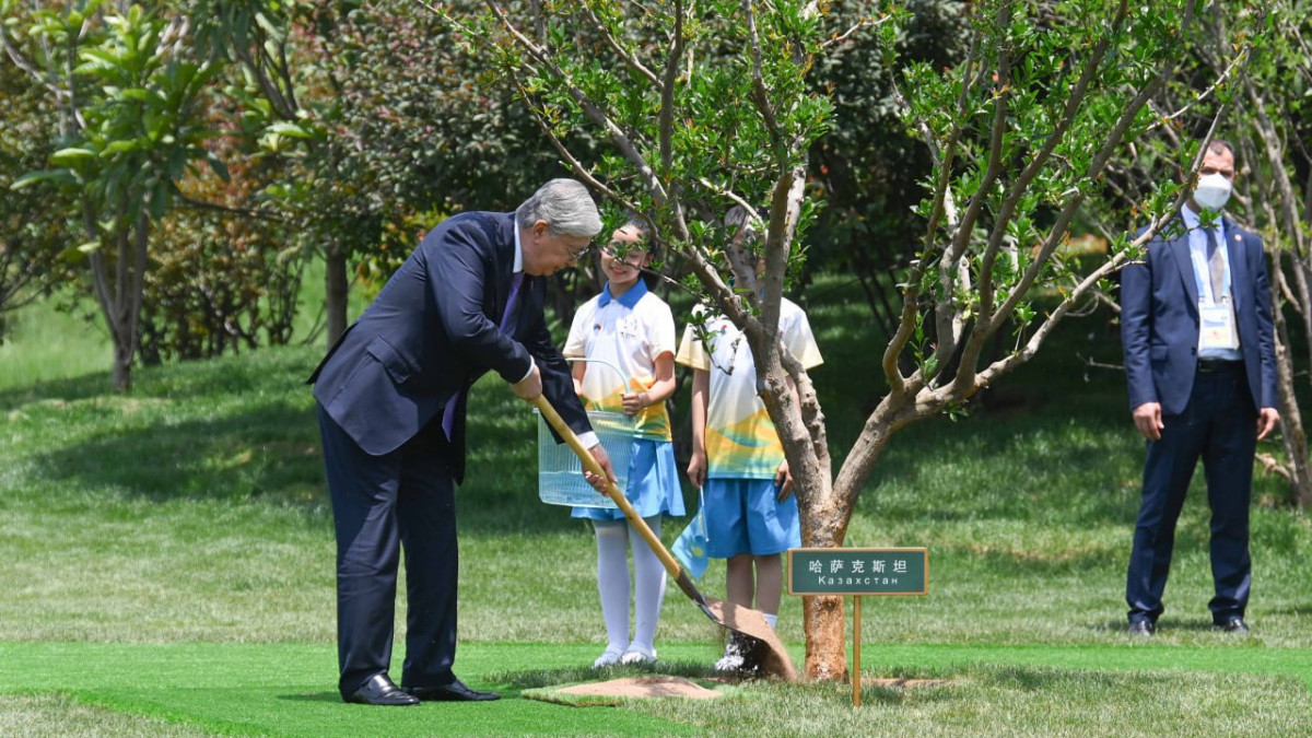 Токаев принял участие в церемонии посадки деревьев в Сиане