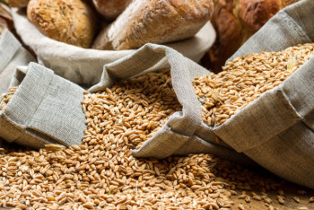 Фотография к новости: Токаев предложил учредить Совместный продовольственный хаб с Китаем