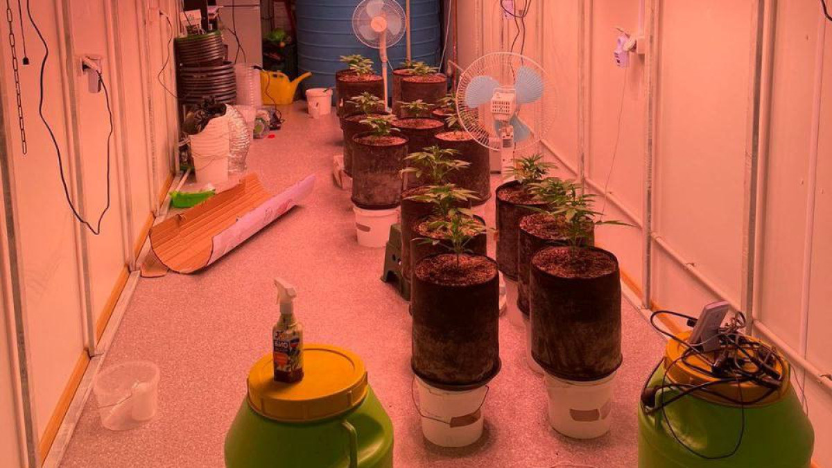 Наркотики и несколько килограммов осетра изъяли у жителя Мангистау