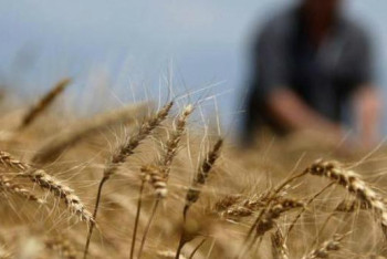 Фотография к новости: Казахстанские аграрии вынуждены продавать фермерские хозяйства