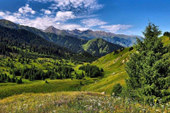 В нацпарке Алматы построили коттеджи под видом туристических объектов - Генпрокуратура