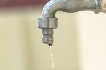 Фотография к новости: Засуха в Астане: "Астана Су Арнасы" предлагает решать проблему за счёт дачников и домохозяек