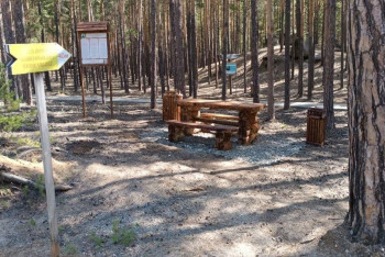 Фотография к новости: В Боровом появятся зоны для пикников, где можно разводить костёр