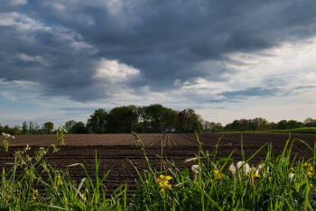 Фотография к новости: Снег и пыльные бури: погода на ближайшие дни в Казахстане