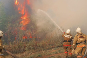 Фотография к новости: Крупный лесной пожар вспыхнул в Абайской области, есть угроза для санатория