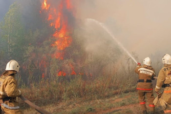 Фотография к новости: "Угрозы населённым пунктам нет" — акимат Абайской области о крупном лесном пожаре